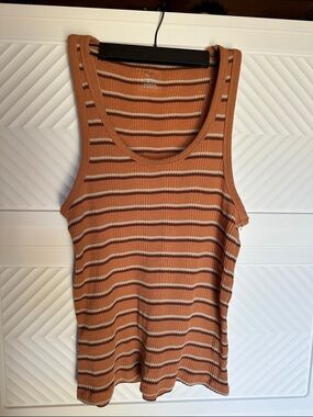 aerie Striped Scoop Neck Tank in Rust and Cream